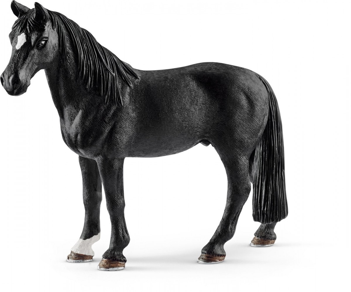Wałach Rasy Tennessee Walker
