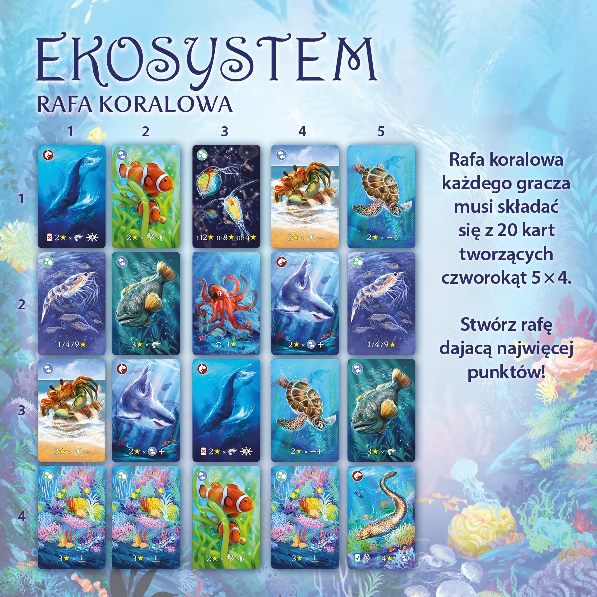 Gra Eko System 2 Rafa Koralowa