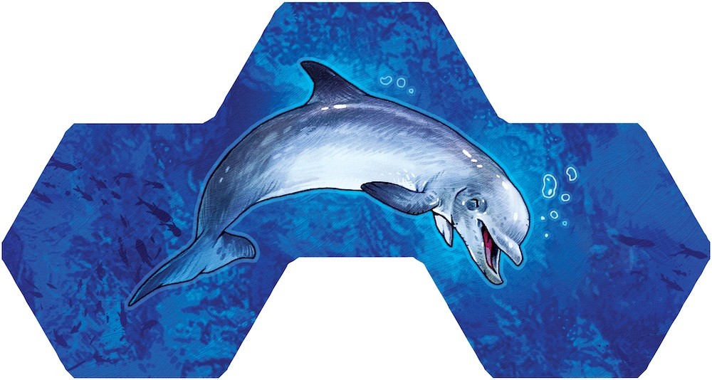 Gra Aqua (Edycja Polska)