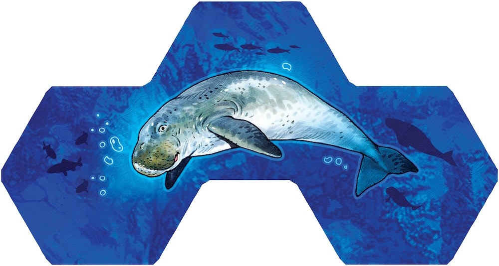 Gra Aqua (Edycja Polska)