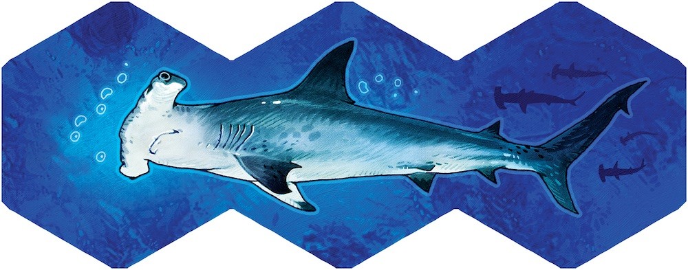Gra Aqua (Edycja Polska)