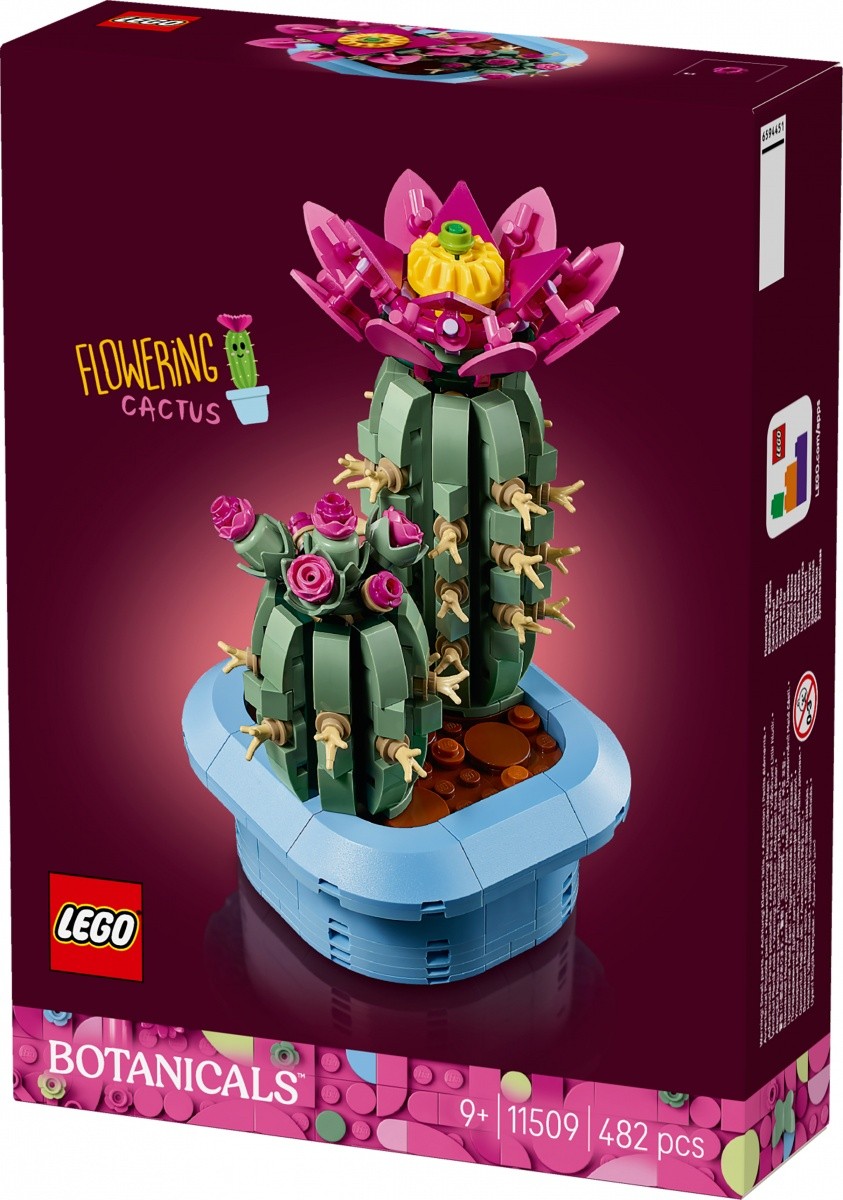 Kocke Botanicals 11509 Rožnati kaktus 2