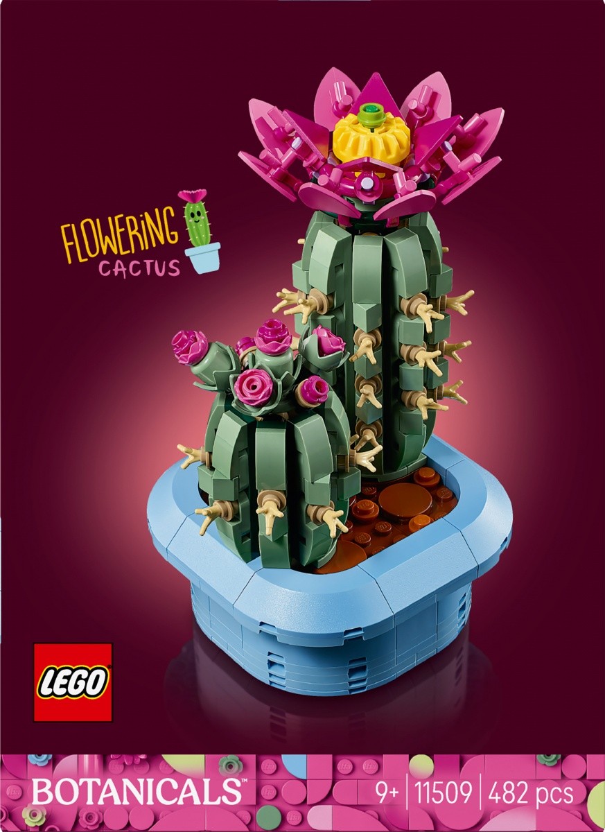 Kocke Botanicals 11509 Rožnati kaktus 3
