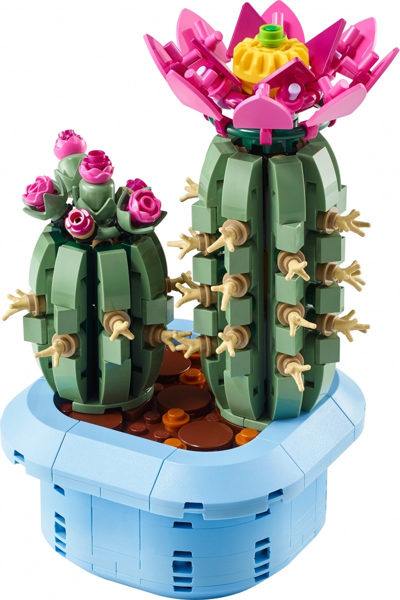 Kocke Botanicals 11509 Rožnati kaktus 4