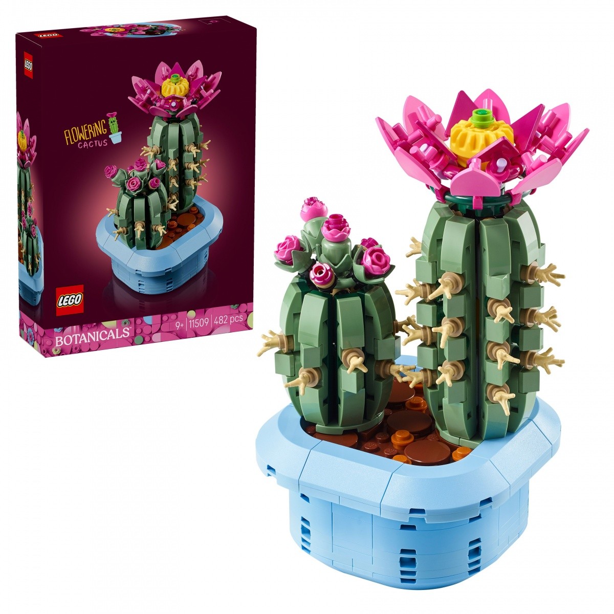 Kocke Botanicals 11509 Rožnati kaktus 5