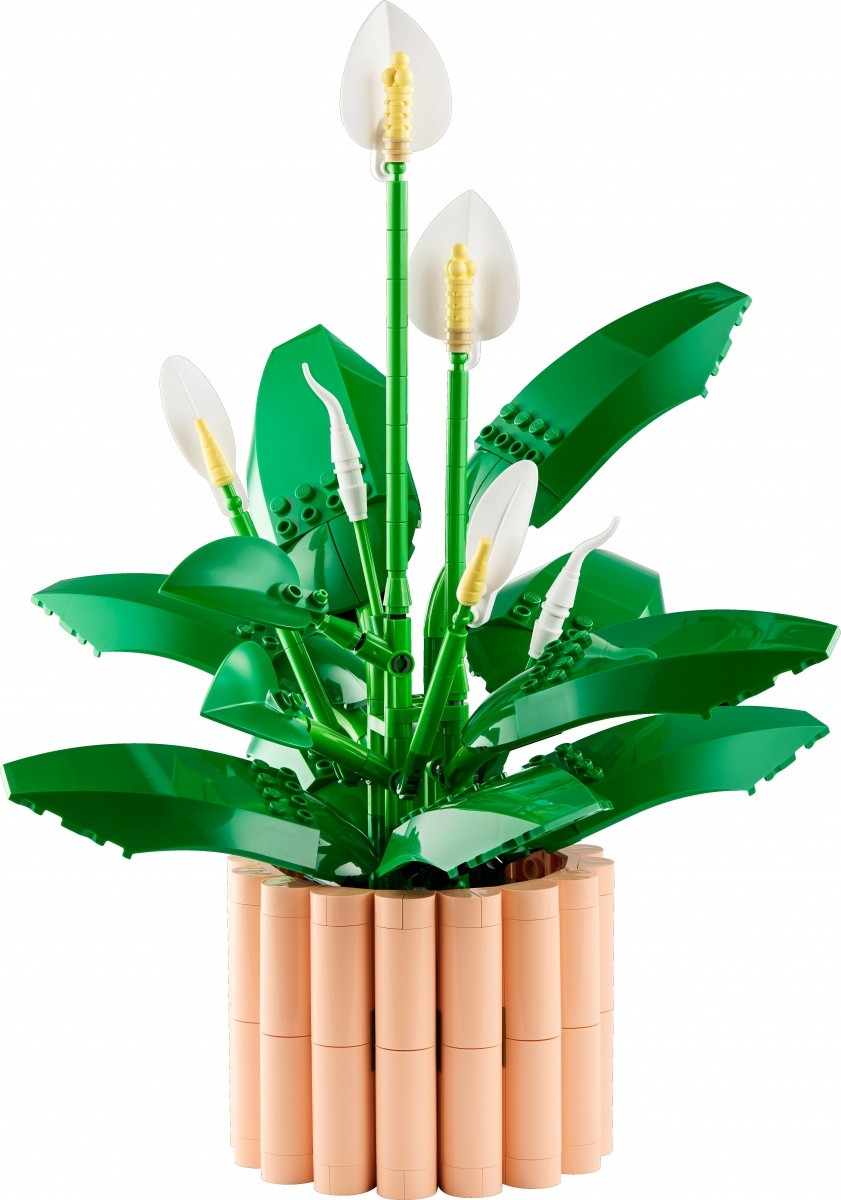 Kocke Botanicals 11504 Spatifilij 5