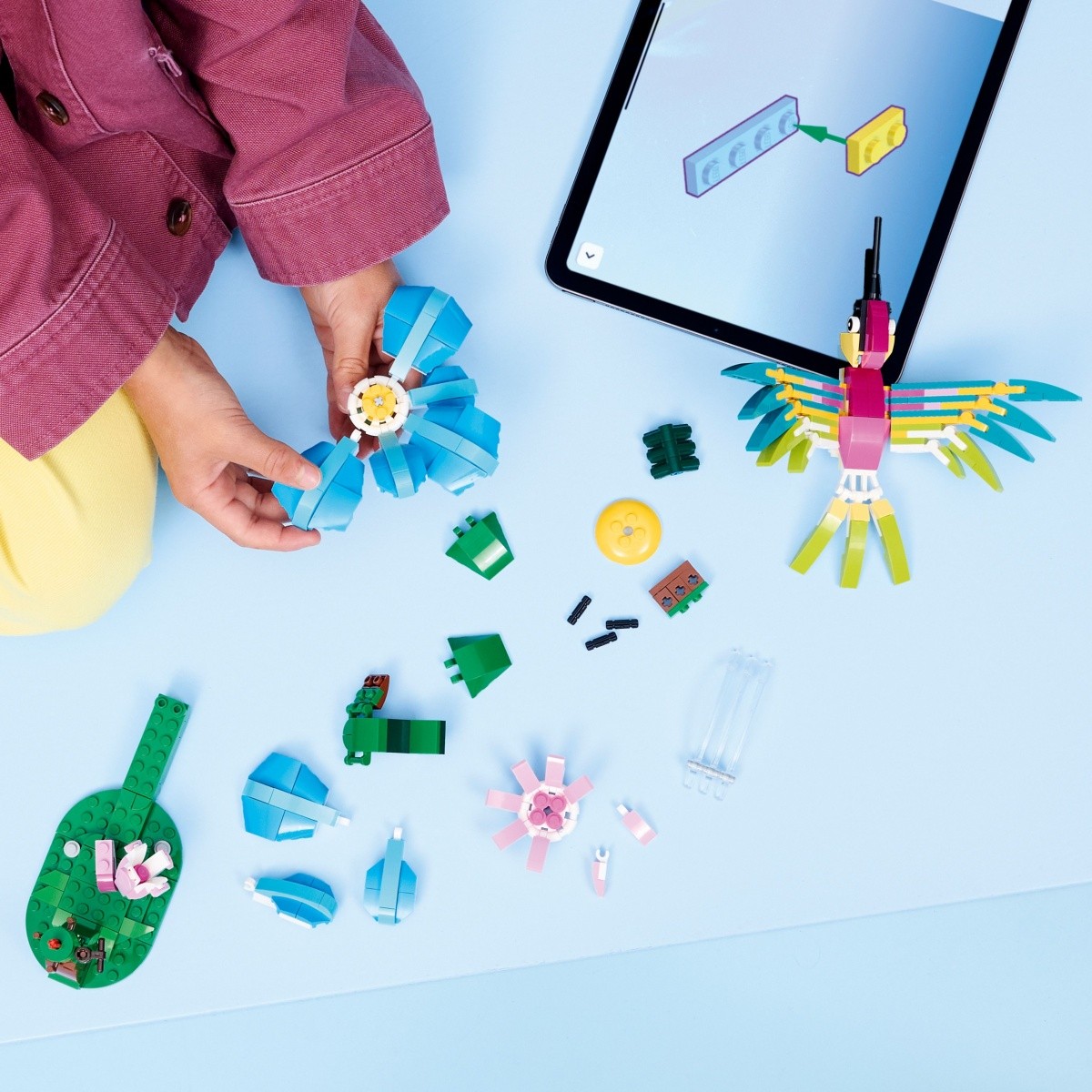 LEGO Creator 31384 Divje živali: Pisani kolibri 2