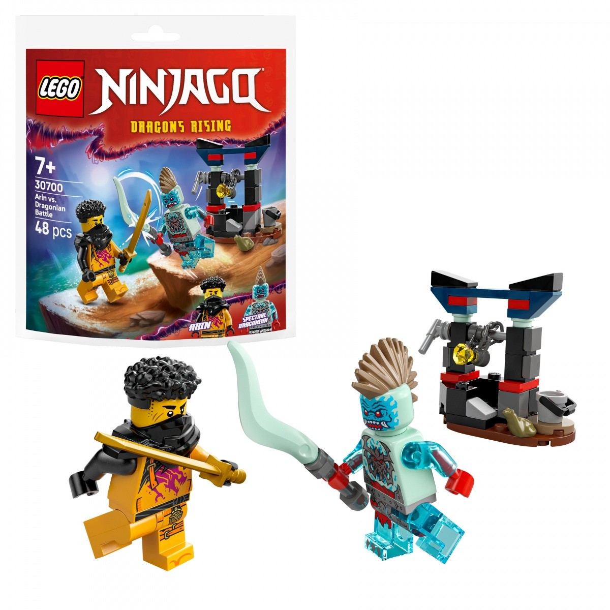 LEGO Ninjago kocke 30700 Arinova bitka z zmajem 4
