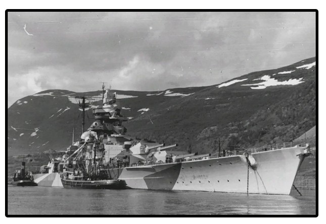 Gradbeni bloki "Bismarck" - 590 kosov 4