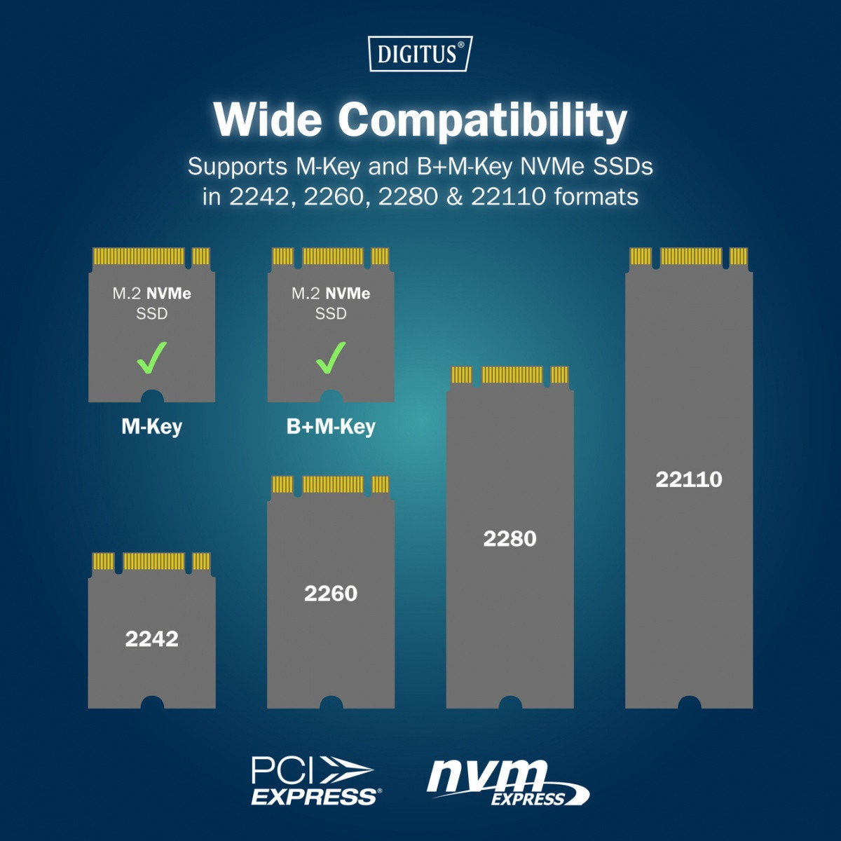 Dockska postaja za SSD M.2 NVMe s kloniranjem | USB-C 10Gbps 7