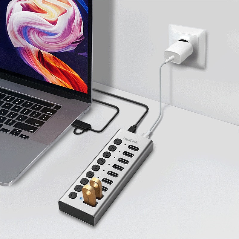USB Hub 10-portov, USB-A/C, stikalo 4