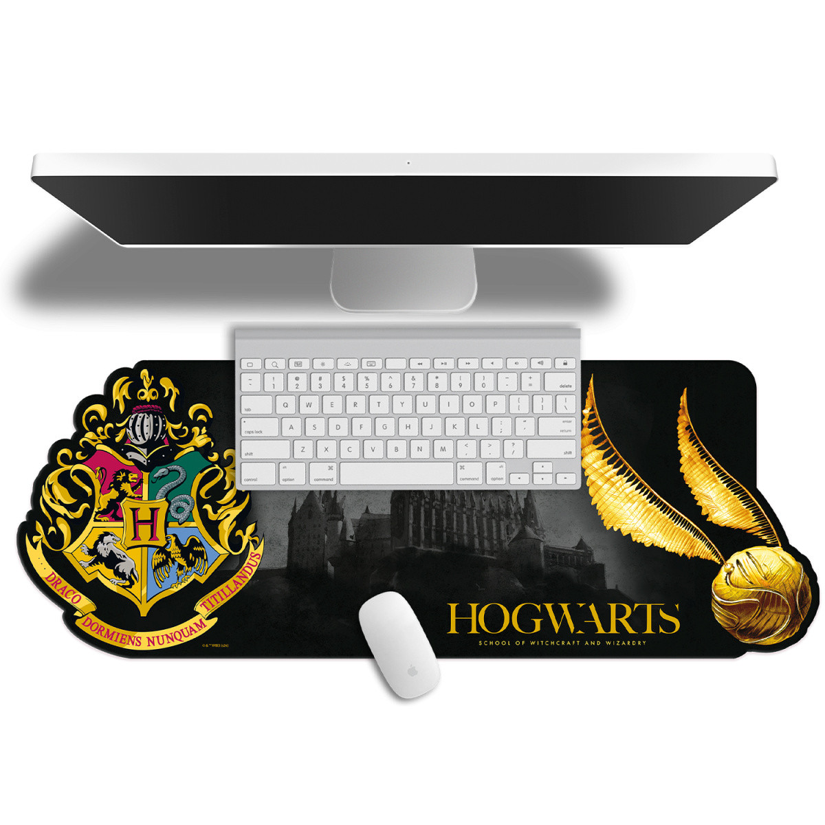 Kids Euroswan Harry Potter podloga za miško 80x30cm 4