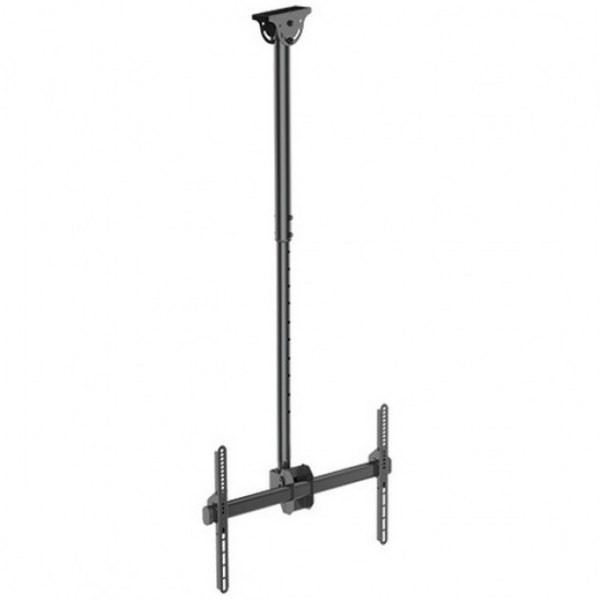 Techly Stropni nosilec za LCD/LED 37-70" črn, 50kg