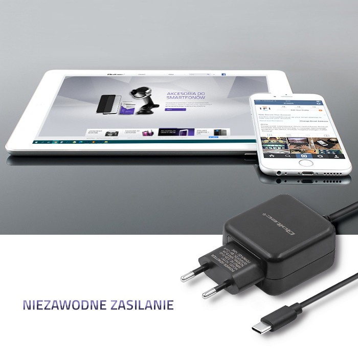 Stenski polnilnik USB-C, 5V / 2.4A, 12W, črn 4