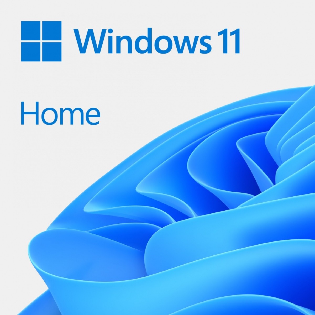 Microsoft Windows 11 Home PL x64 DVD