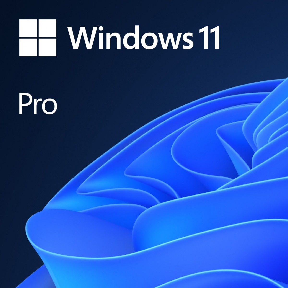 Microsoft Windows 11 Pro ENG x64 DVD