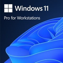 Microsoft Windows 11 Pro for Workstations PL x64 DVD