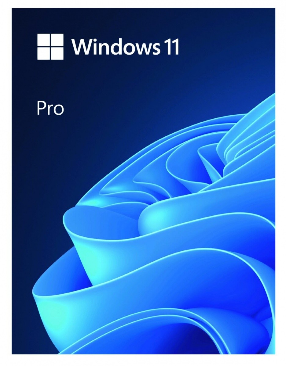 Windows 11 Pro 64bit ENG USB 2