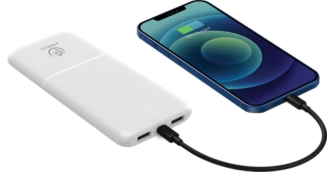 Prenosni polnilnik (powerbank) P10, 10000 mAh, 10W 3