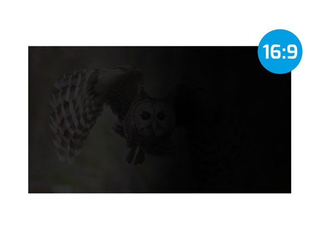 Natec RODO Owl 16" folija za zasebnost, 16:10 3
