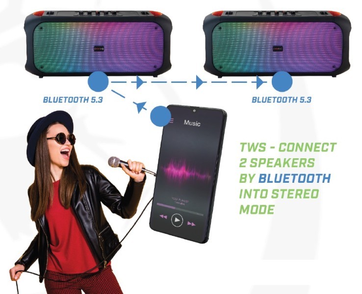 Bluetooth zvočnik SoundBox 650 z FM/USB 2