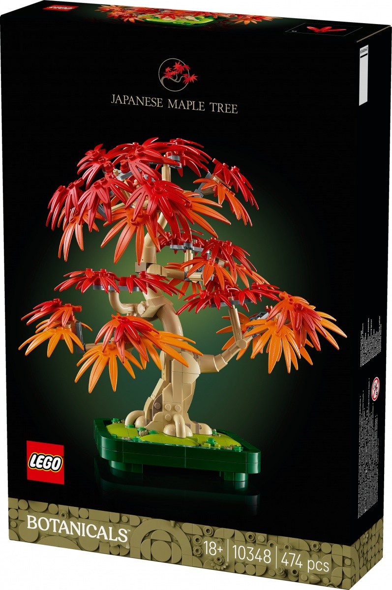 LEGO Kocke Botanicals 10348 Bonsaj palme 5