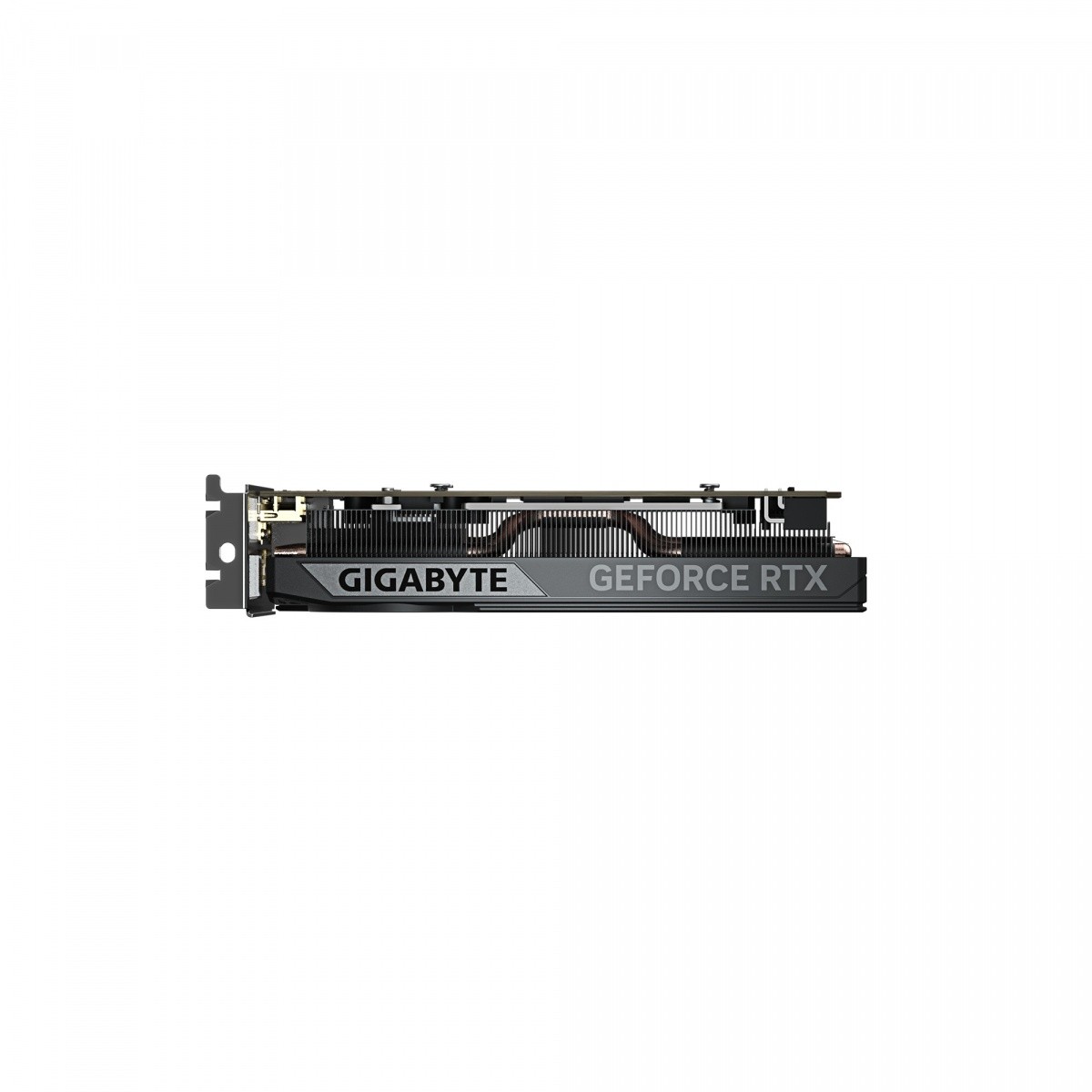 Grafična kartica GeForce RTX 5050 LP OC 8GB GDDR6 2