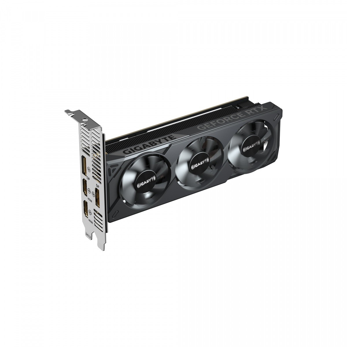 Grafična kartica GeForce RTX 5050 LP OC 8GB GDDR6 4