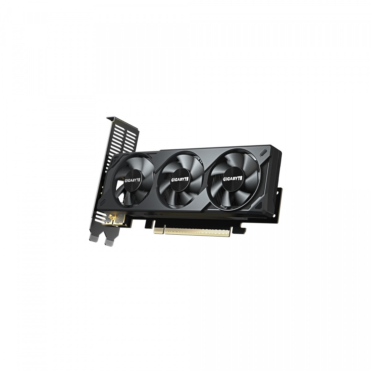 Grafična kartica GeForce RTX 5050 LP OC 8GB GDDR6 5