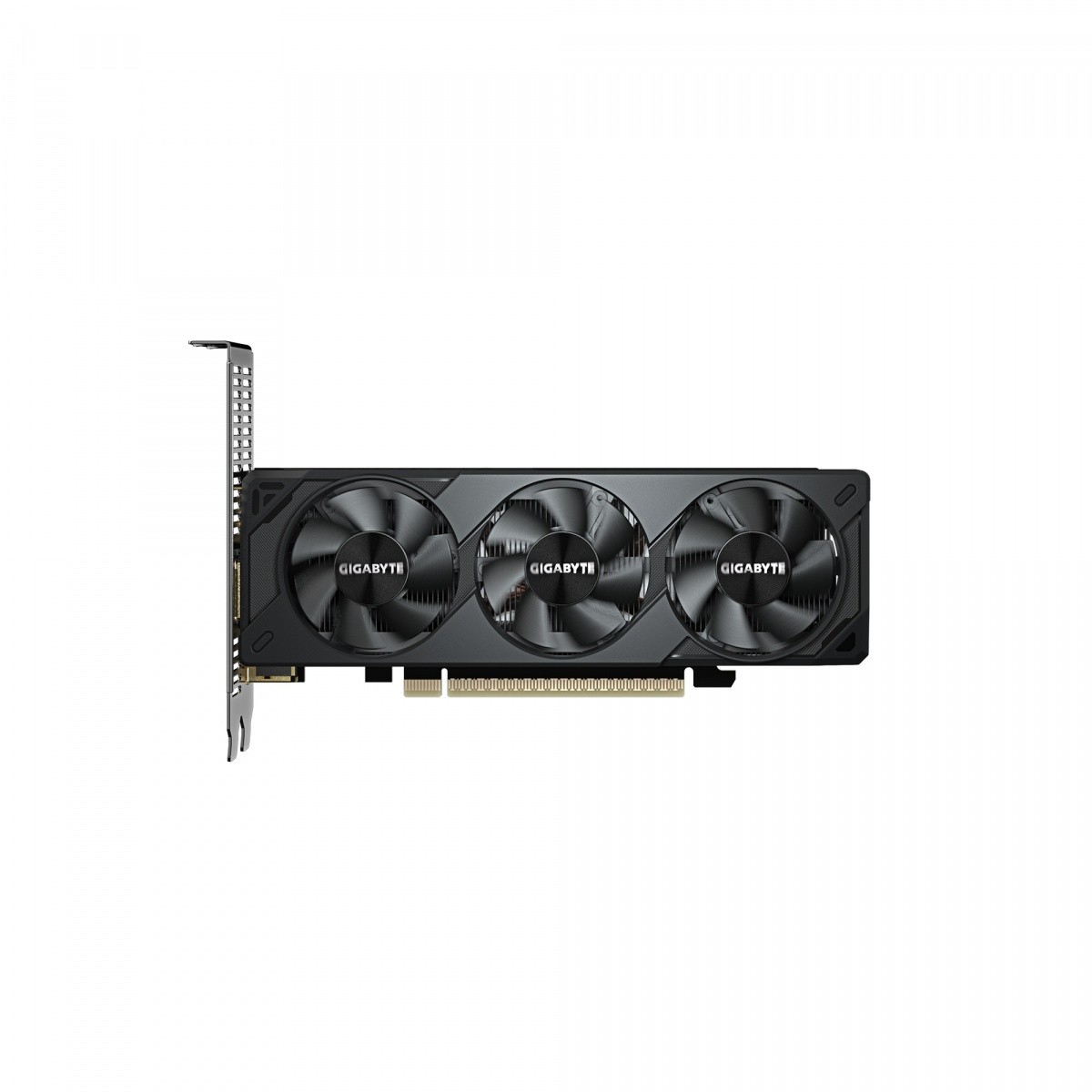 Grafična kartica GeForce RTX 5050 LP OC 8GB GDDR6 6