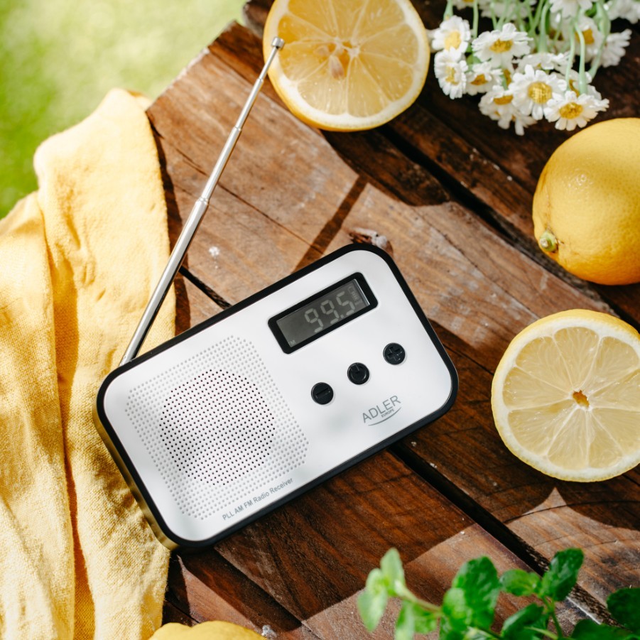 Digitalni radio PLL AD1907 8