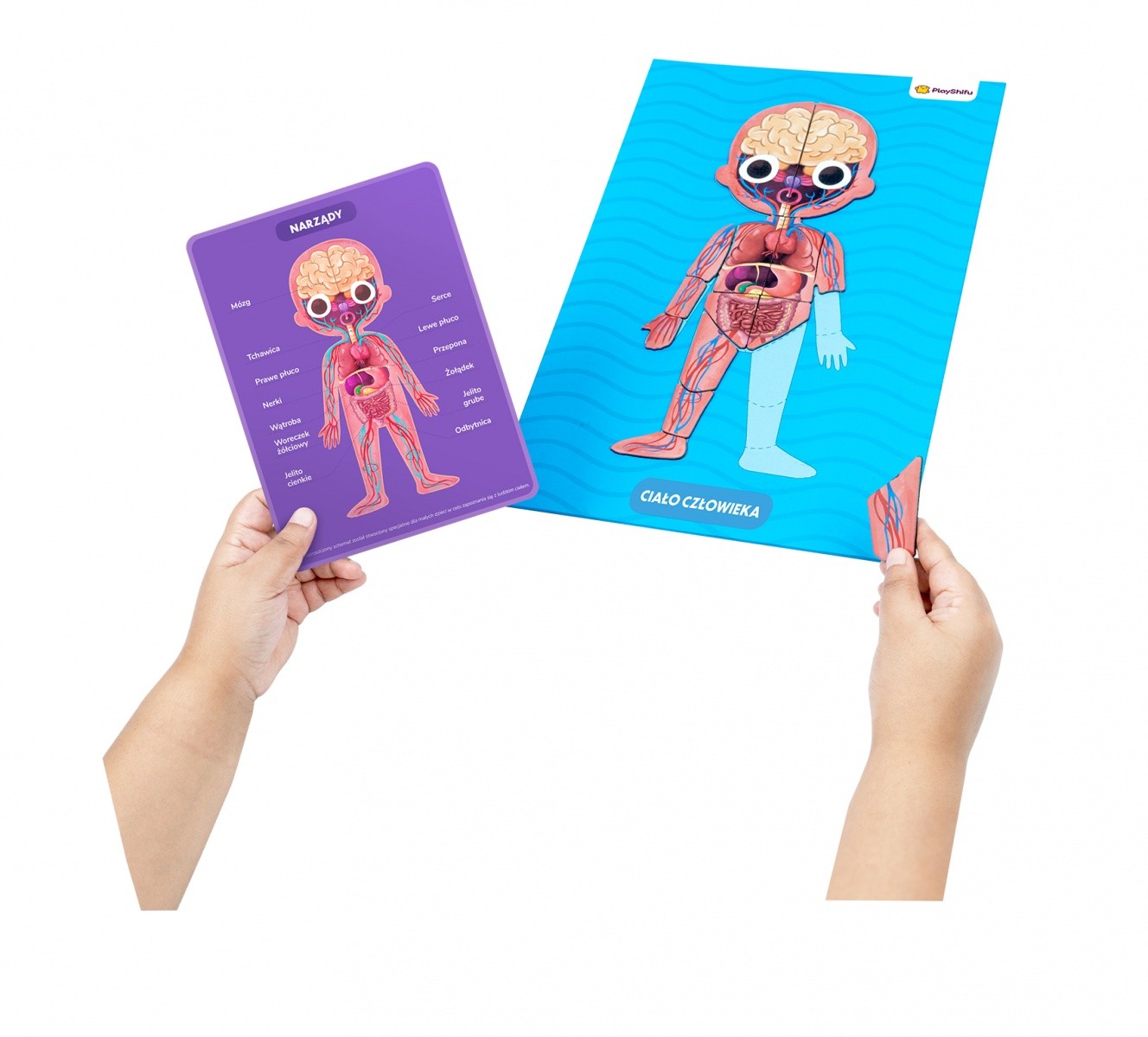 Komplet My Super Human Body 3