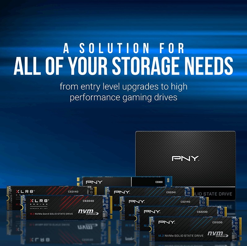 PNY CS2241 SSD disk 500GB M.2 NVMe 6